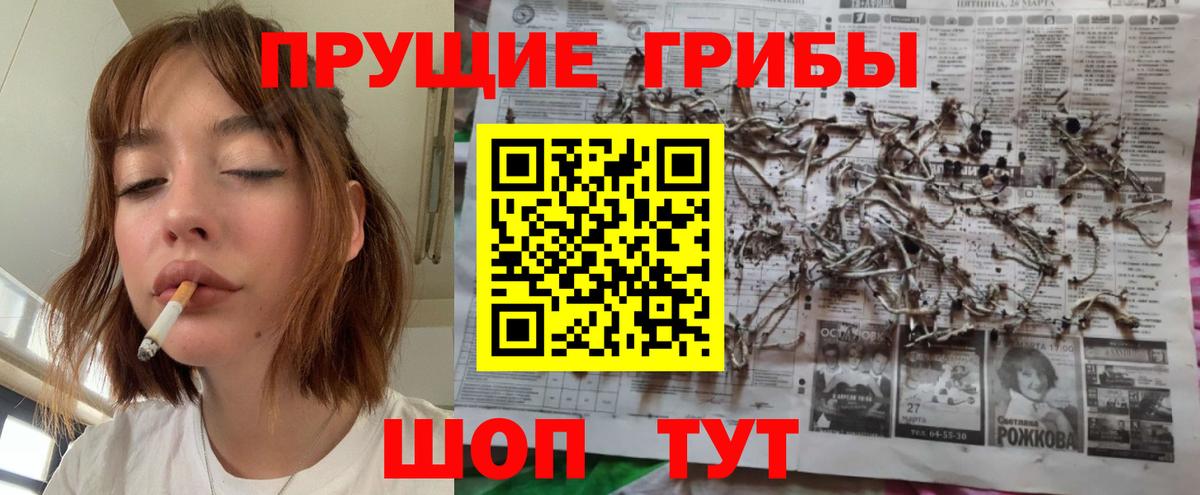 Галлюциногенные грибы Cubensis Борисоглебск