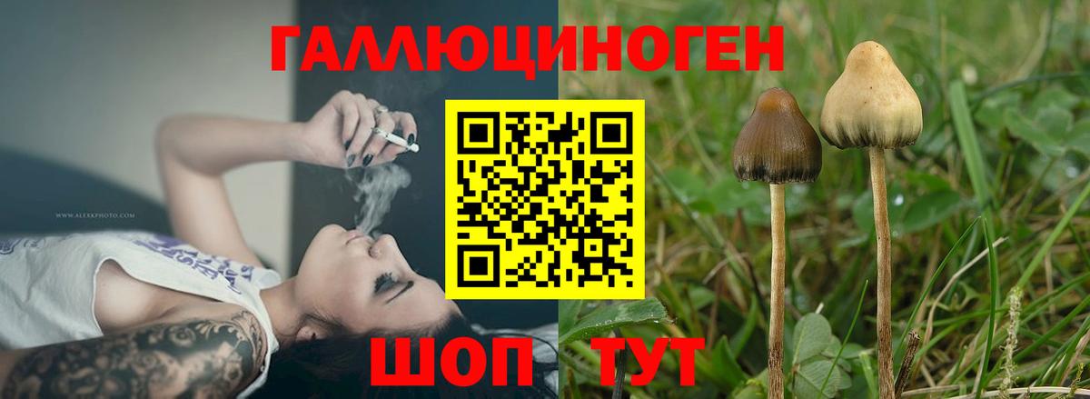 Галлюциногенные грибы мицелий  Вход с VPN  Борисоглебск  Галлюциногенные грибы мицелий 